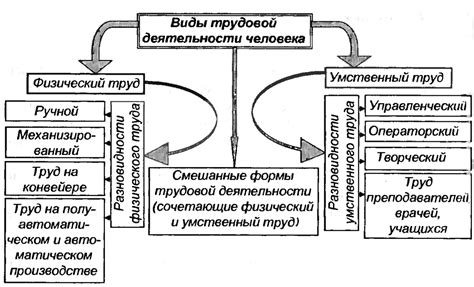 Региональные особенности трудовой деятельности агента 8919