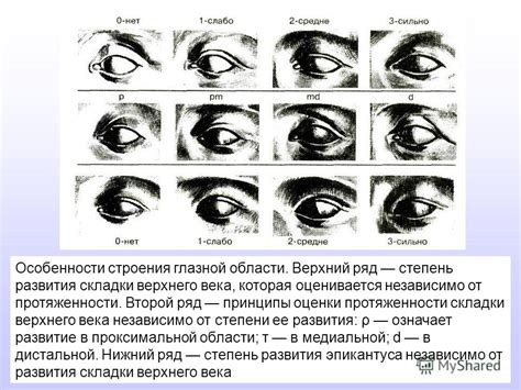 Регулярное освежение глазной области