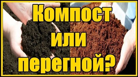 Регулярное переворачивание компоста: ускорение процесса разложения органического материала