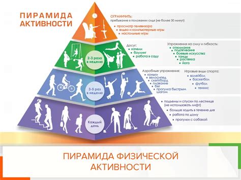 Регулярные физические нагрузки - важность и основные принципы