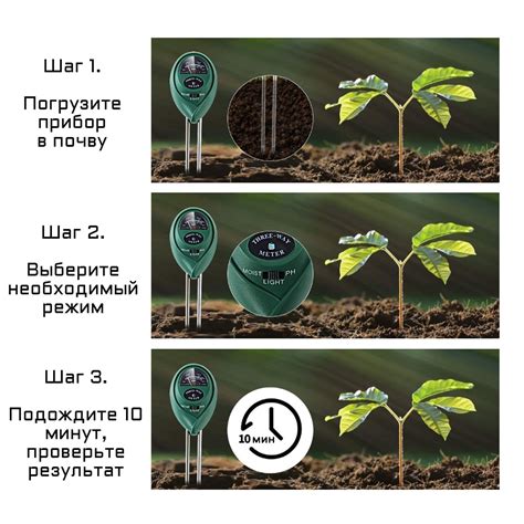 Регулярный контроль влажности почвы