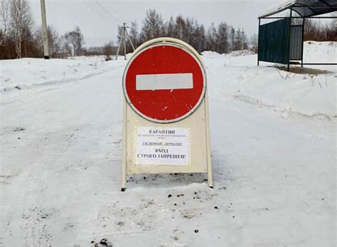 Режим функционирования знаменитого заведения в Перми в день новогоднего праздника