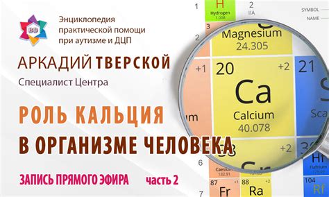 Рекомендации и советы по увеличению содержания кальция в организме