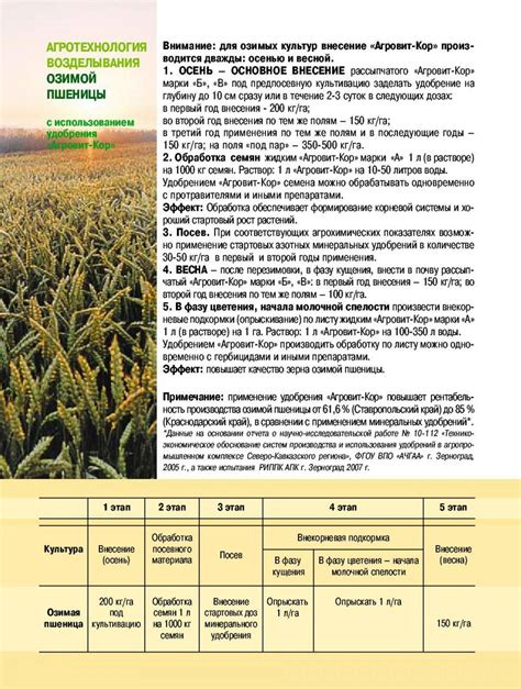 Рекомендуемые злаки для обработки почвы после культуры свекла