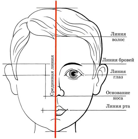 Рисование и вырезание обводки ушей