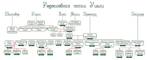 Родословная семьи Вашингтонов: история и предки