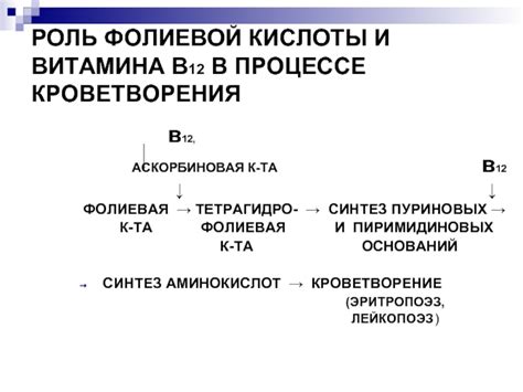 Роль витамина В12 и фолиевой кислоты в процессе формирования эритроцитов