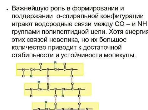 Роль внешних условий в формировании и укреплении вторичной конформации белков