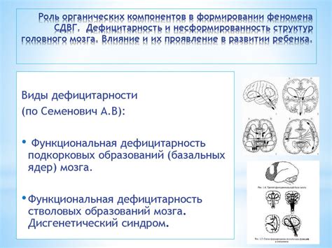 Роль генетики и возраста в формировании объема щек: влияние генов и процесс старения