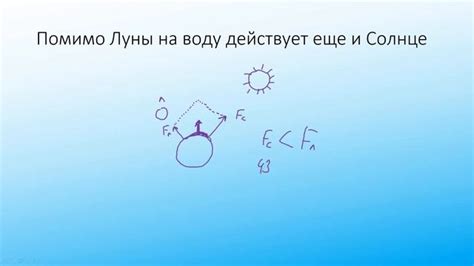 Роль гравитационных сил в происхождении приливов и отливов