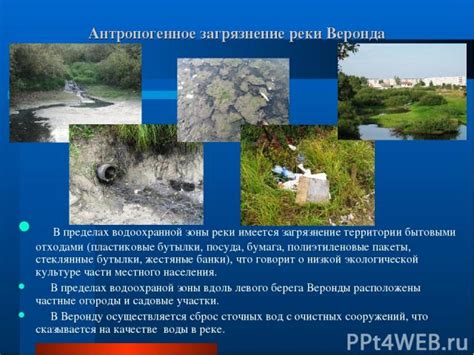 Роль границ водоохранной зоны реки для экологической безопасности