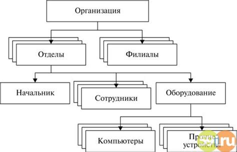 Роль иерархической организации и коллективной направленности в древних сообществах