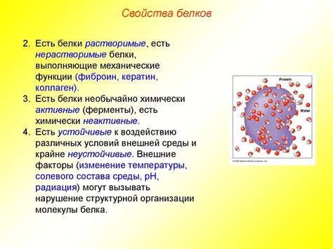 Роль и структура главных пар