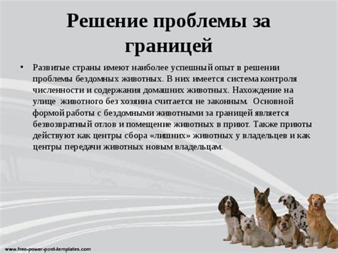 Роль муниципального управления в решении проблемы нежелательного поведения домашних животных