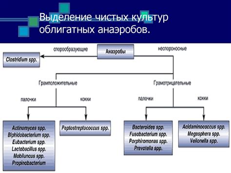 Роль окислительных красителей в определении метаболической активности