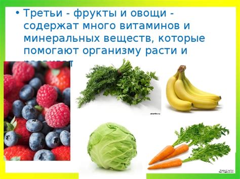 Роль питания в укреплении скелета: почему костям необходимы витамины