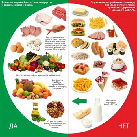 Роль продуктов питания в уменьшении жирового слоя и оптимальная комбинация для здорового рациона