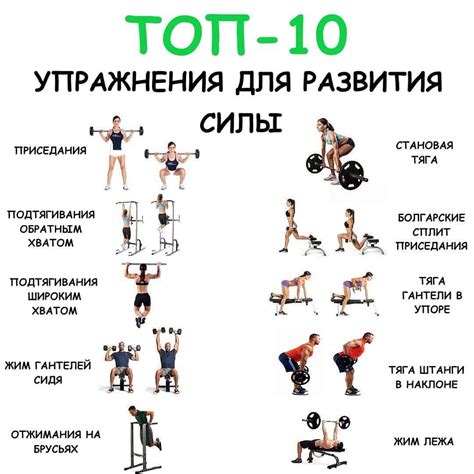 Роль силовой тренировки в достижении высокой скорости на небольшое расстояние