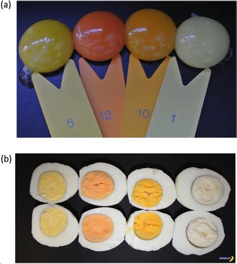 Роль состава корма в определении оттенка желтка яиц