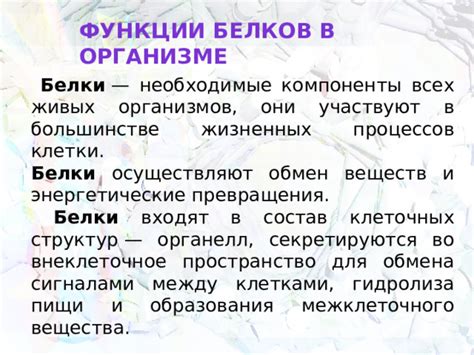 Роль транспортных белков в транслокации синтезированных белков во внеклеточное пространство