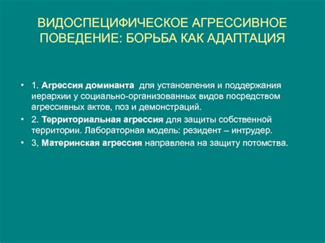 Роль установления и поддержания иерархии в формировании сбалансированной гусиной семьи