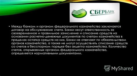 Роль федерального казначейства в государственном бюджете