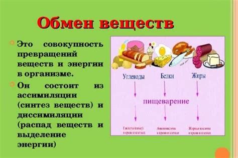 Роль физической активности в улучшении кровообращения и регуляции телесной температуры