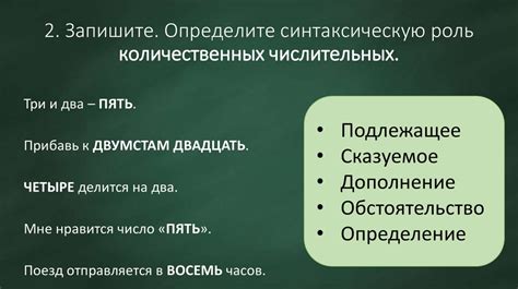 Роль числительных и их важность в лингвистическом пространстве