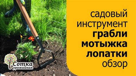 Садовый инструмент: грабли, лопаты, секаторы