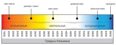 Свет и тепло: значение правильного освещения и отопления