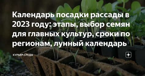 Секреты получения идеальной лянги: подбор оптимального времени и правильной температуры