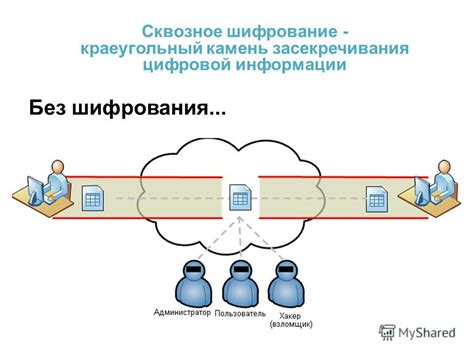 Серверы: краеугольный камень цифровой инфраструктуры