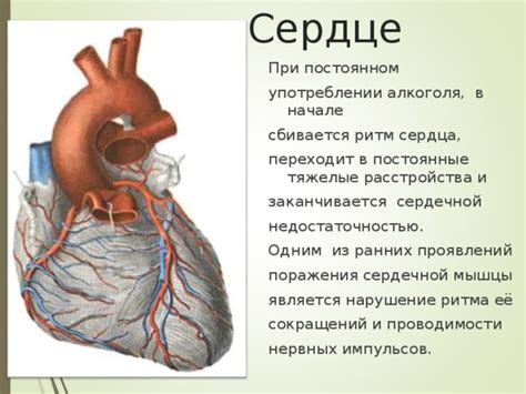 Сердечно-сосудистые нарушения при постоянном употреблении алкоголя