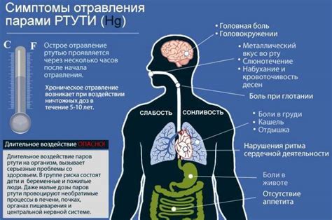 Симптомы интоксикации ртутью