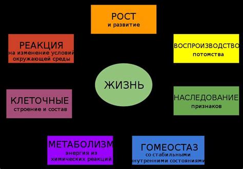 Сложные ситуации при определении свойства слова: наиболее непростые вопросы