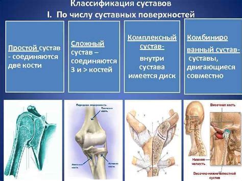 Смазывание и питание суставных поверхностей