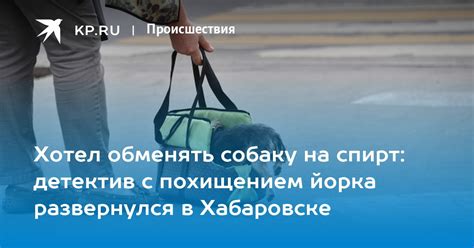 Сны с похищением на транспорте как форма самовыражения