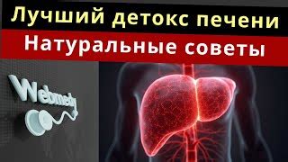 Советы по очищению форсунок омывателя от замерзшей жидкости