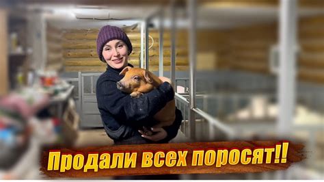 Советы по уходу за выключателем и проводкой