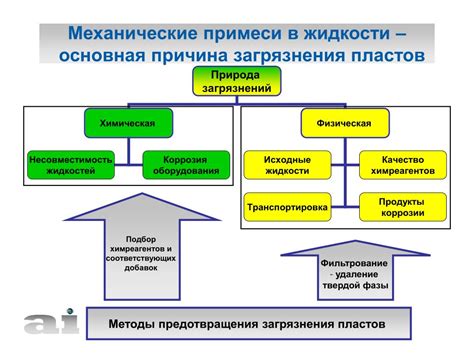 Современные методы предотвращения гнили