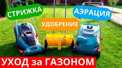 Содержание и уход для порядочного газона