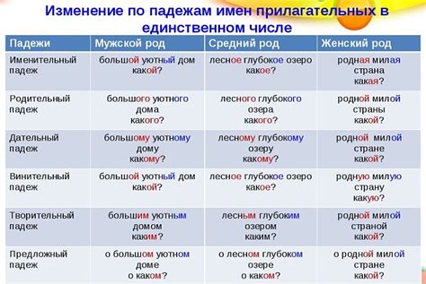 Создание прилагательных в едином роде и их роль в предложении