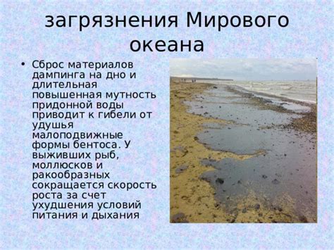 Сохраняем качество корма и воды: перестраховываемся от загрязнения и ухудшения