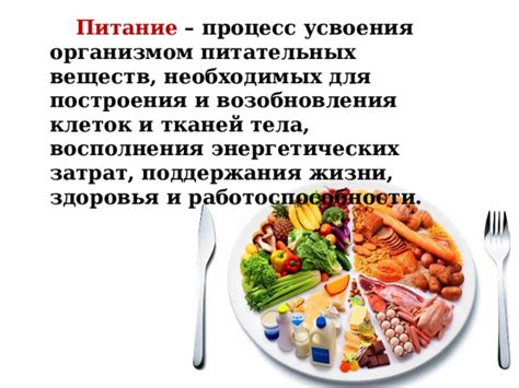 Сочетания пищевых групп, способствующие пищеварению и усваиванию питательных веществ