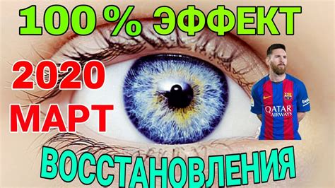 Способы восстановления зрения у черепашек в домашних условиях