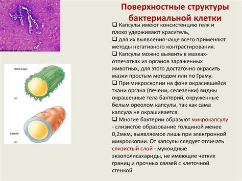 Способы выявления необходимых клеток