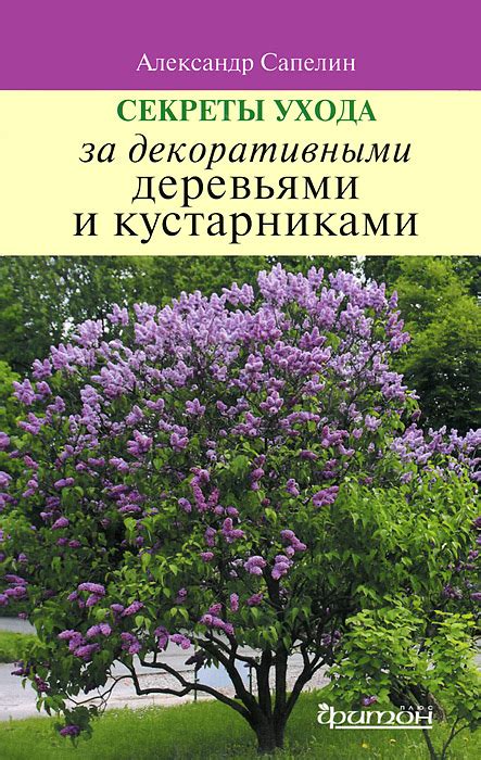 Способы ухода за декоративными структурами, прикрепленными с использованием крючков