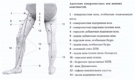 Статическое напряжение мышц нижних конечностей