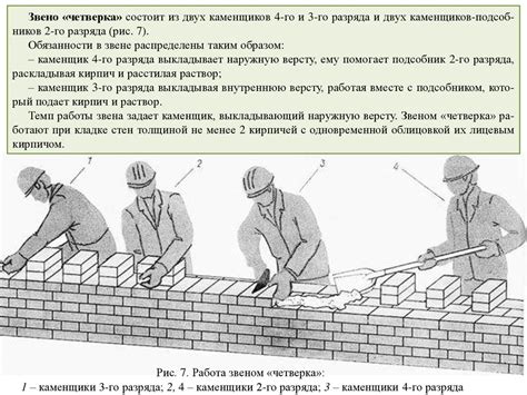 Строительство стен и организация помещений