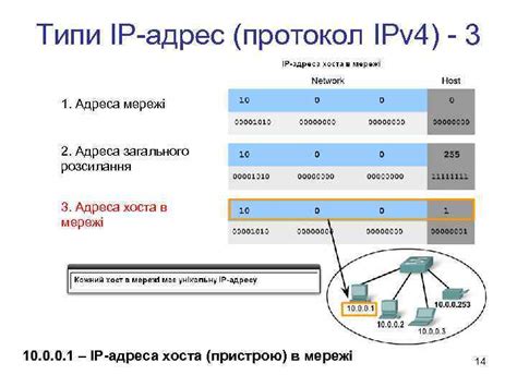 Структура адресов IPv4 и их классификация